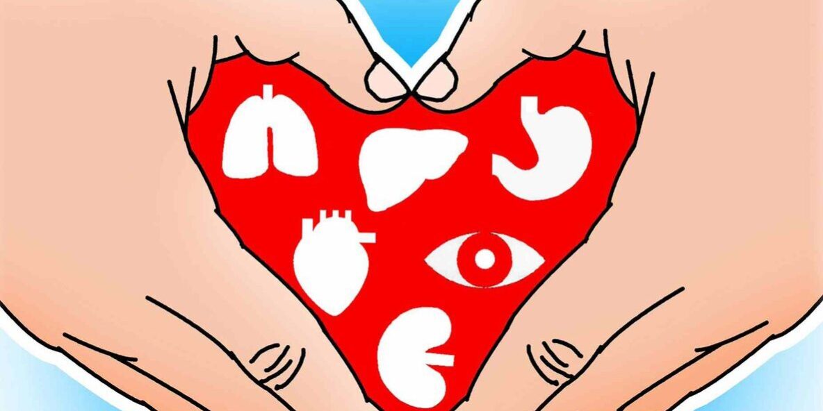 organ-nakli-nedir organ nakli