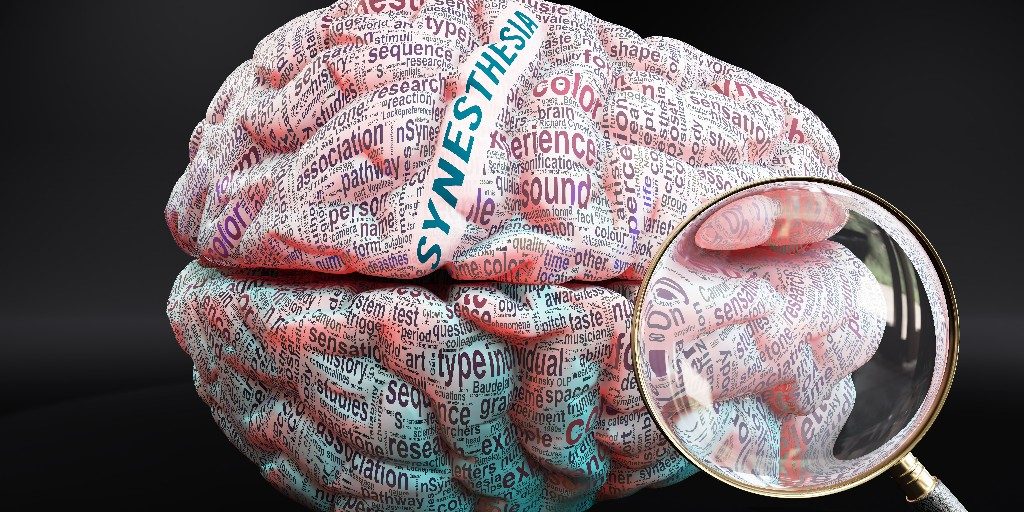 sinestezi nedir