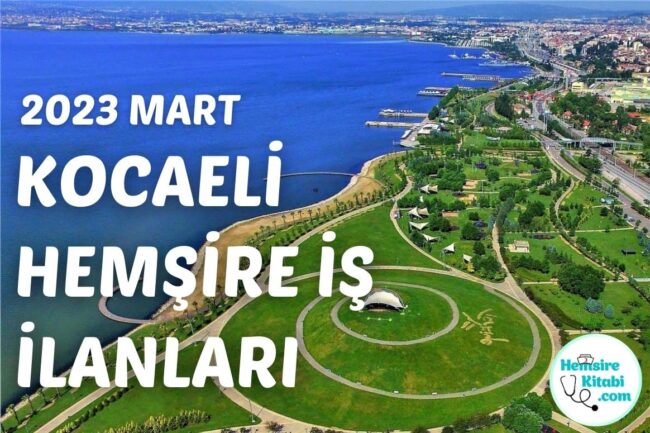 Kocaeli-Hemsire-Is-Ilanlari-2023-kapak-foto